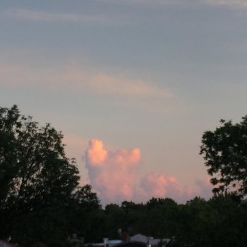 tender spring sunset ceremony