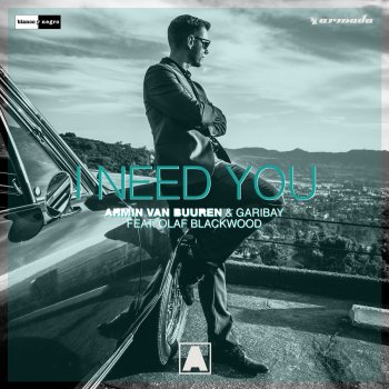 Armin van Buuren & Garibay feat. Olaf Blackwood I Need You - Club Edit