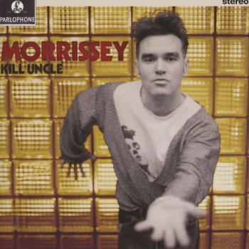 Morrissey The Harsh Truth of the Camera Eye (2013 Remastered Version)