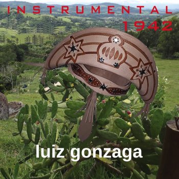 Luiz Gonzaga Sanfonando Chorinho - Instrumental