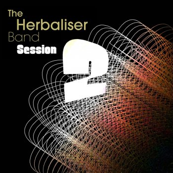 The Herbaliser Theme From Control Centre - Instrumental