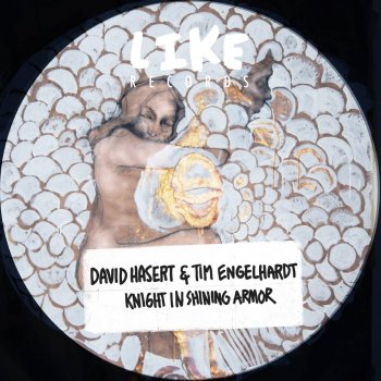 David Hasert feat. Tim Engelhardt & Rosapaulina Knight in Shining Armor