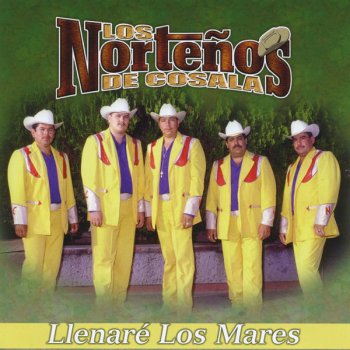 Los Nortenos De Cosala Vengo A Verte