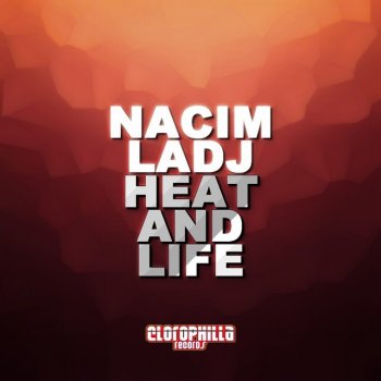 Nacim LaDJ Heat and Life (Alex Patane' Remix)