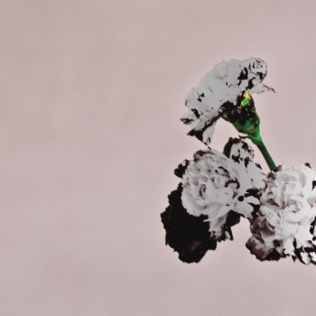 John Legend All of Me - Live