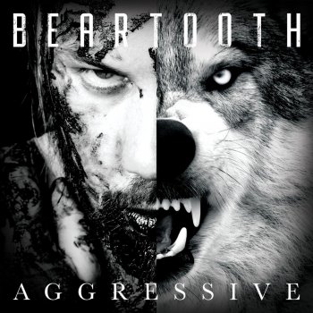 Beartooth Loser