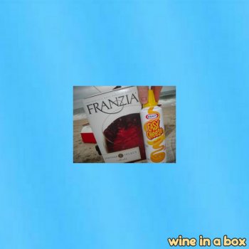 Sam, the Seagull Wine In a Box