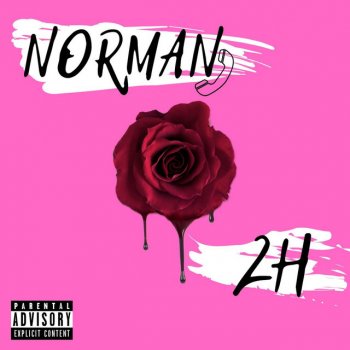 Norman 2H