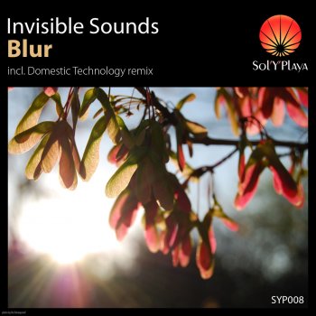 Invisible Sounds Blur - Original Mix