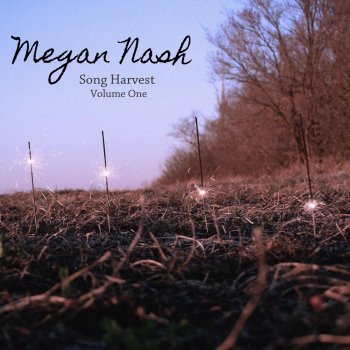 Megan Nash Another Love