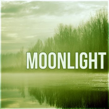 Calming Music Sanctuary Magic Time