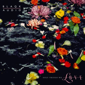 Blaqk Audio Enemies Forever