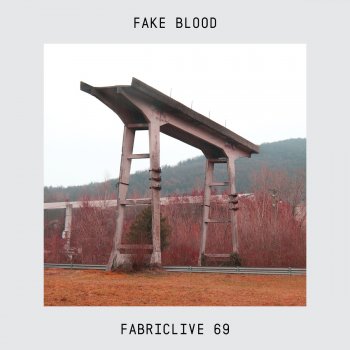 Fake Blood Fabriclive 69 (Continuous DJ Mix)