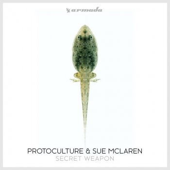 Protoculture feat. Sue McLaren Secret Weapon