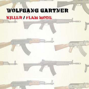 Wolfgang Gartner Killer