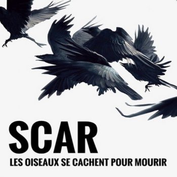 Scar Mort de fly