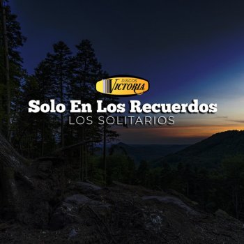 Los Solitarios No Volviste