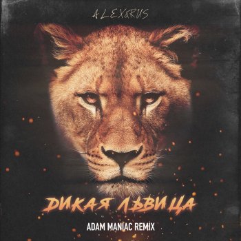 ALEX&RUS feat. Adam Maniac Дикая львица - Adam Maniac Remix