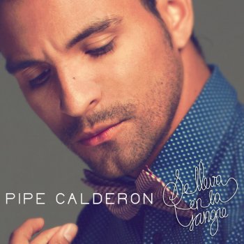 Pipe Calderon No Pidas Perdón