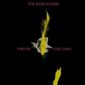 The Flesh Eaters Secret Life