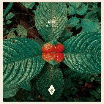 Cosmic Cowboys feat. Akami Black Orchestra - YokoO Remix
