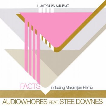 Audiowhores feat. Stee Downes Facts (Deep Vibe)