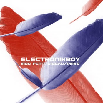 Electronikboy Mon petit oiseau (Mesalina Cry Remix)