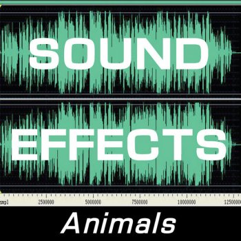 Sound Effects Alien Wolf Howl