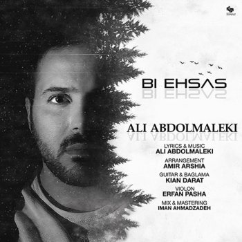 Ali Abdolmaleki feat. Iman AhmadZadeh Bi Ehsas