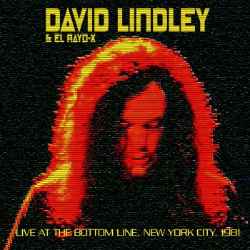 David Lindley I'm A Hog For You Baby