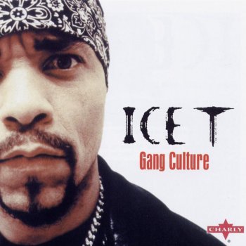 Ice-T This Is for the Niggers