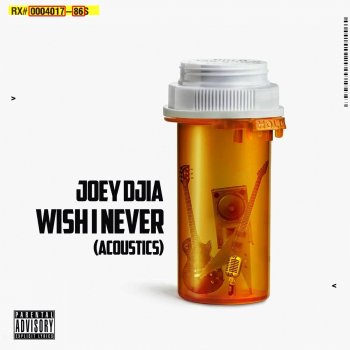 JOEY DJIA Wish I Never - Acoustic