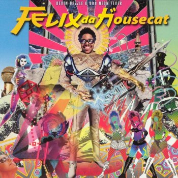 Felix da Housecat Watching Cars Go By