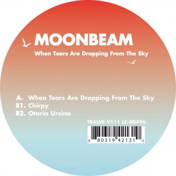 Moonbeam When Tears Are Dropping from the Sky