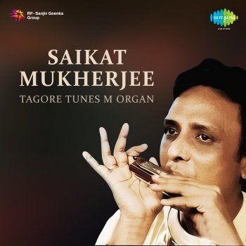 Saikat Mukherjee Mayabono Biharini Harini - Instrumental