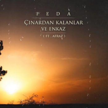 Feda Çınardan Kalanlar Ve Enkaz