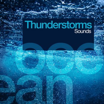 Thunderstorms Birds and Heavy Rain