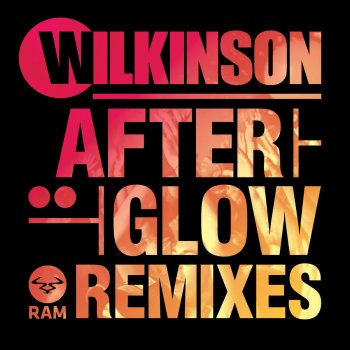 Wilkinson Afterglow (Dyro Remix)