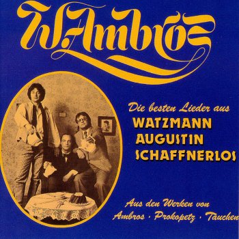 Wolfgang Ambros Schaffnerlos