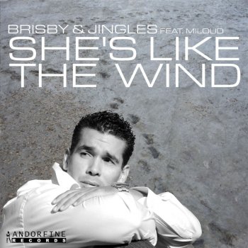 Brisby & Jingles She's Like the Wind (Tim Verba Remix)