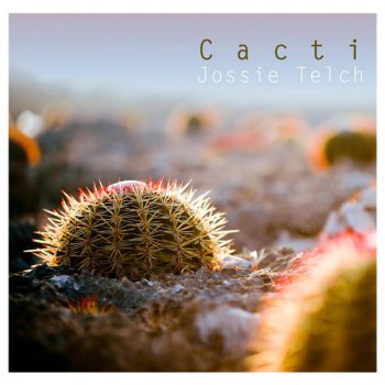Jossie Telch Aloof (Original Mix)