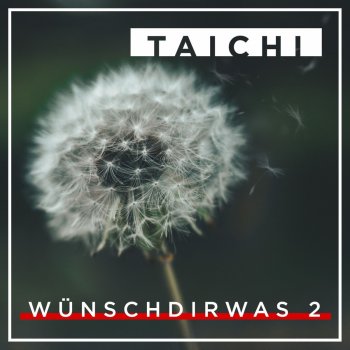 Taichi Guten Morgen