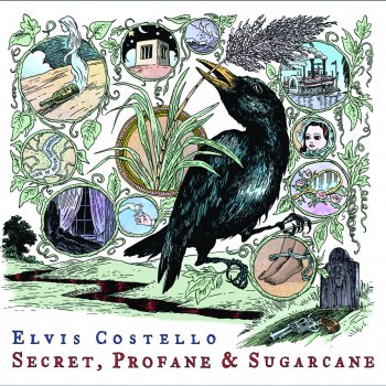 Elvis Costello Down Among the Wines and Spirits