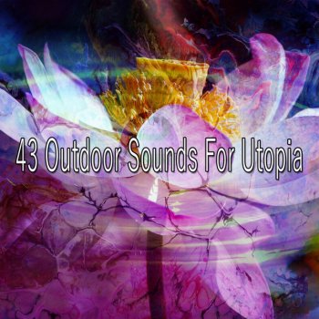 Yoga Tribe - 36 Yoga Strengthening Sounds