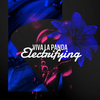 Viva La Panda Electrifying