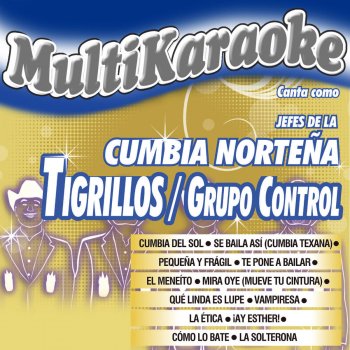 Multi Karaoke Pequeña Y Fragil