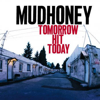 Mudhoney Real Low Vibe