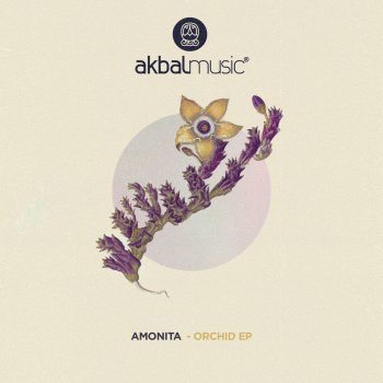 Amonita Orchid (Newbo Remix)