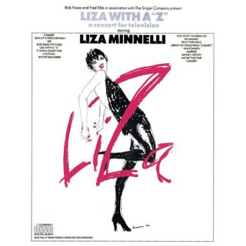 Liza Minnelli You've Let Yourself Go - Live