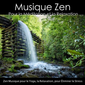 Musique Calme et Relaxation Musique de Relaxation pour Guérir